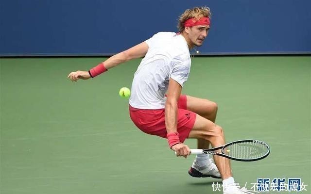 毛球界的 毛球界的