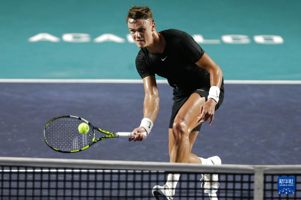 新加盟的外 新加盟的外